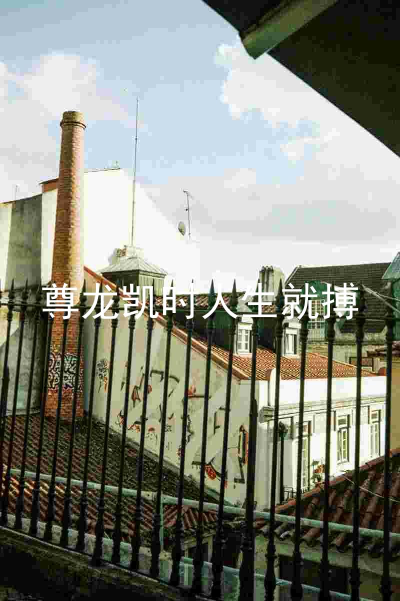 尊龙凯时人生就搏