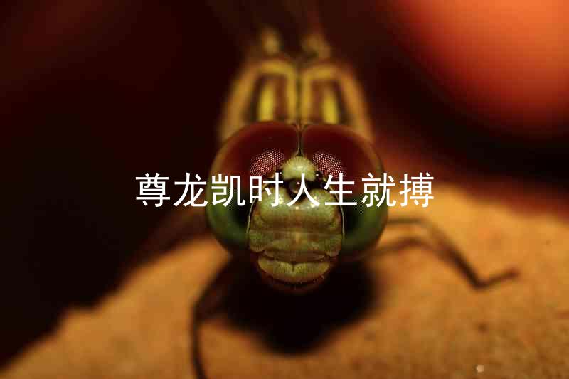 尊龙凯时人生就搏