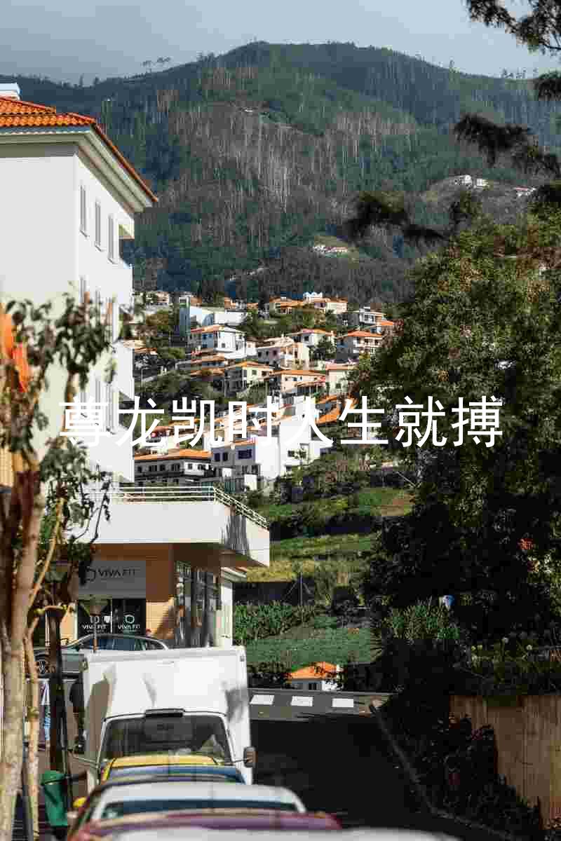 尊龙凯时人生就搏