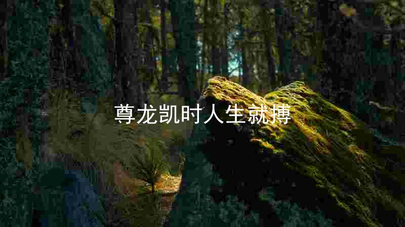 尊龙凯时人生就搏