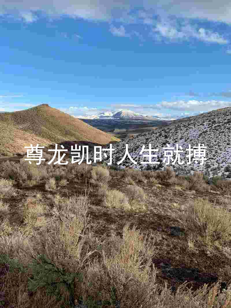 尊龙凯时人生就搏