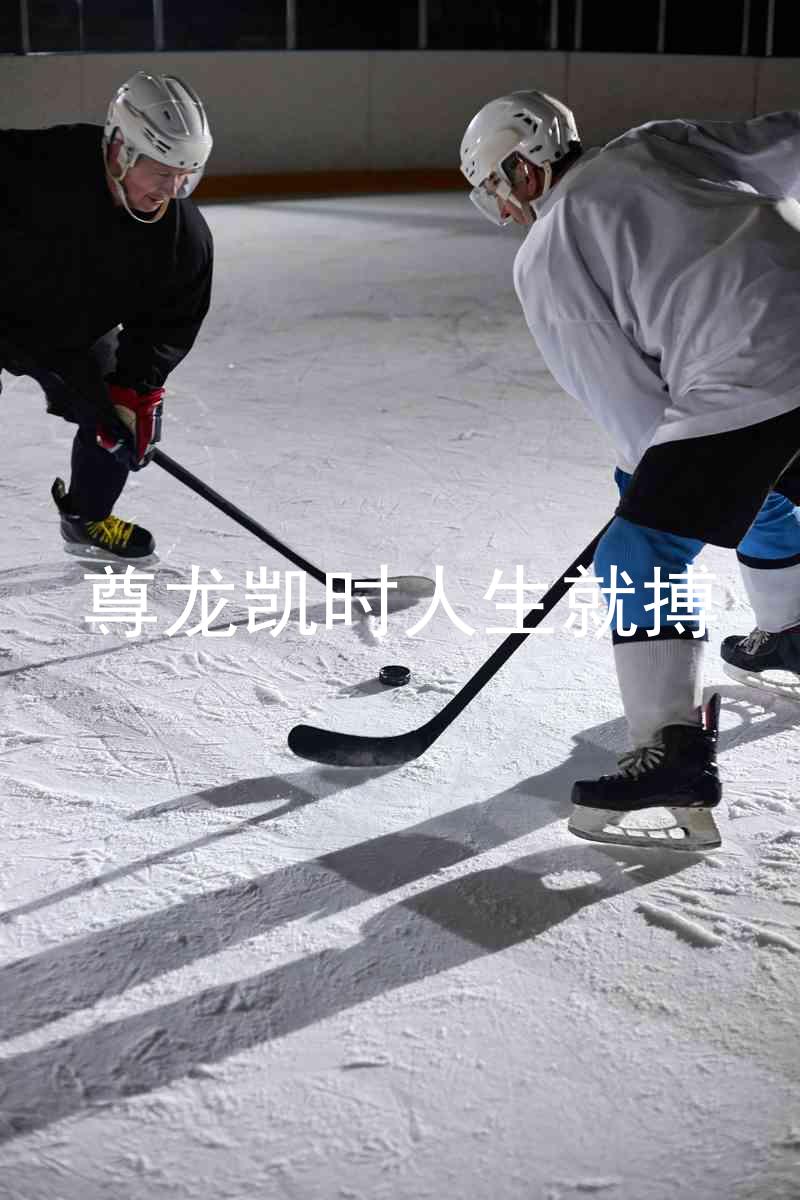 尊龙凯时人生就搏
