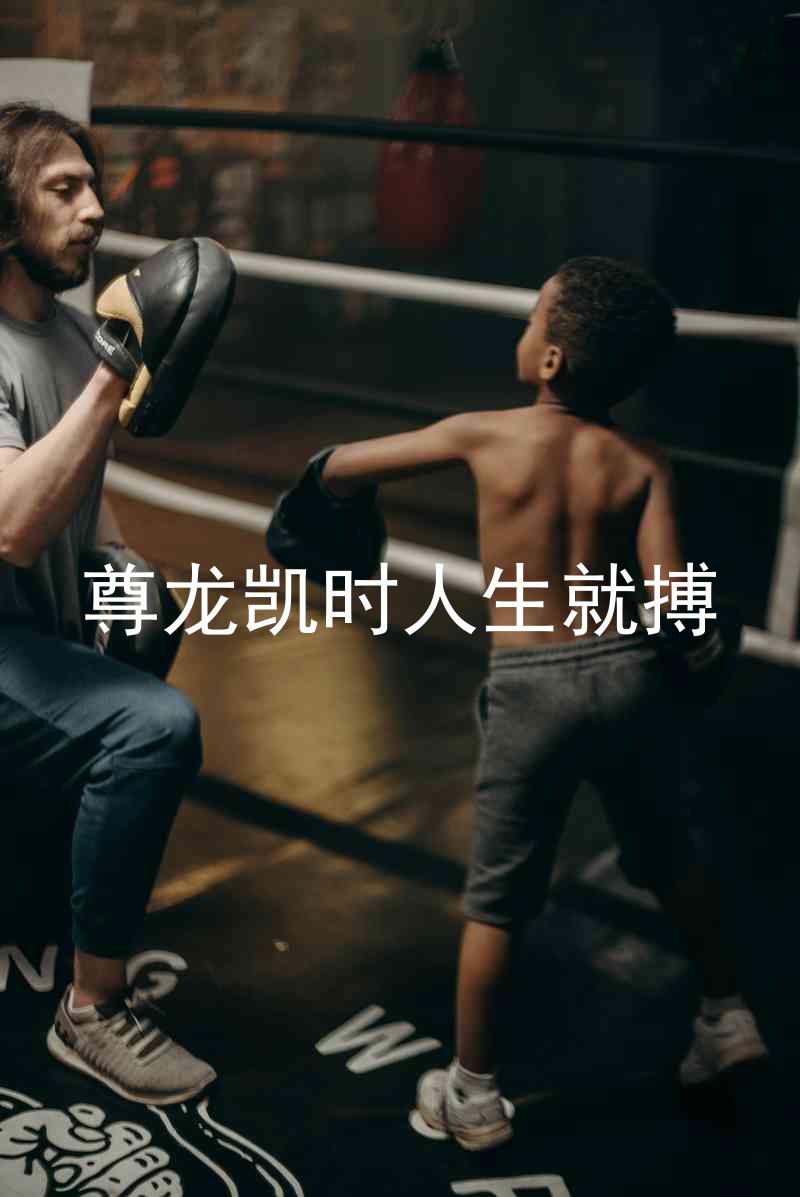 尊龙凯时人生就搏