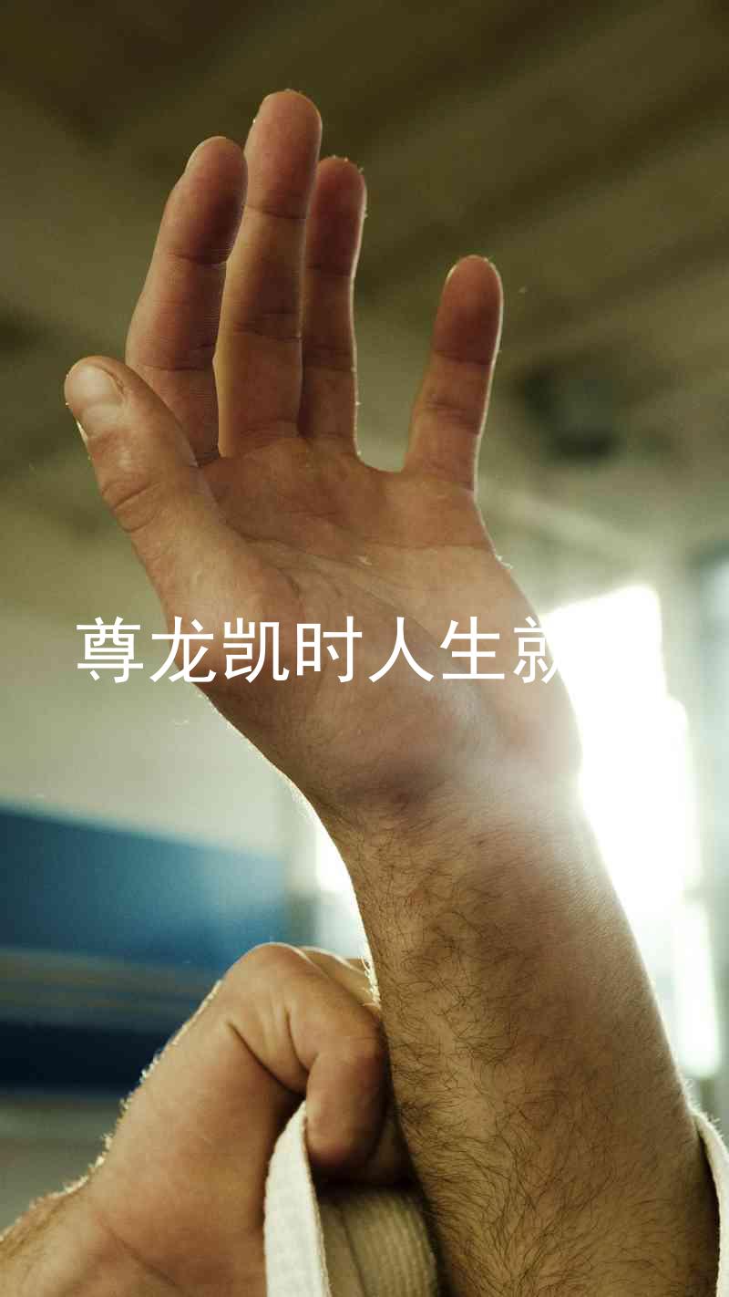 尊龙凯时人生就搏