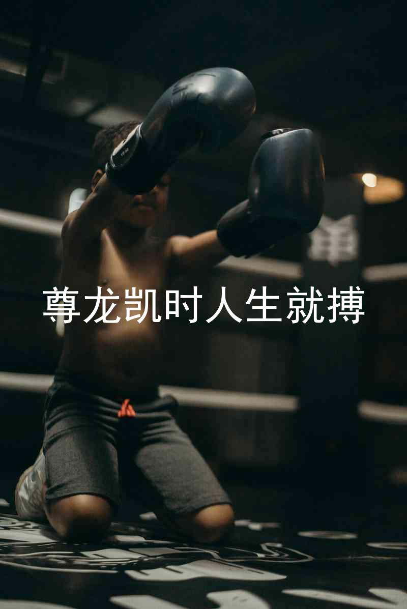 尊龙凯时人生就搏