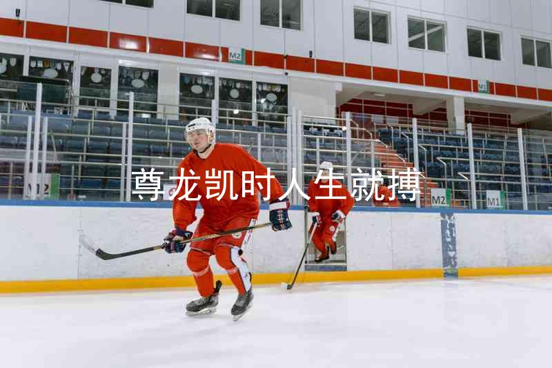 尊龙凯时人生就搏