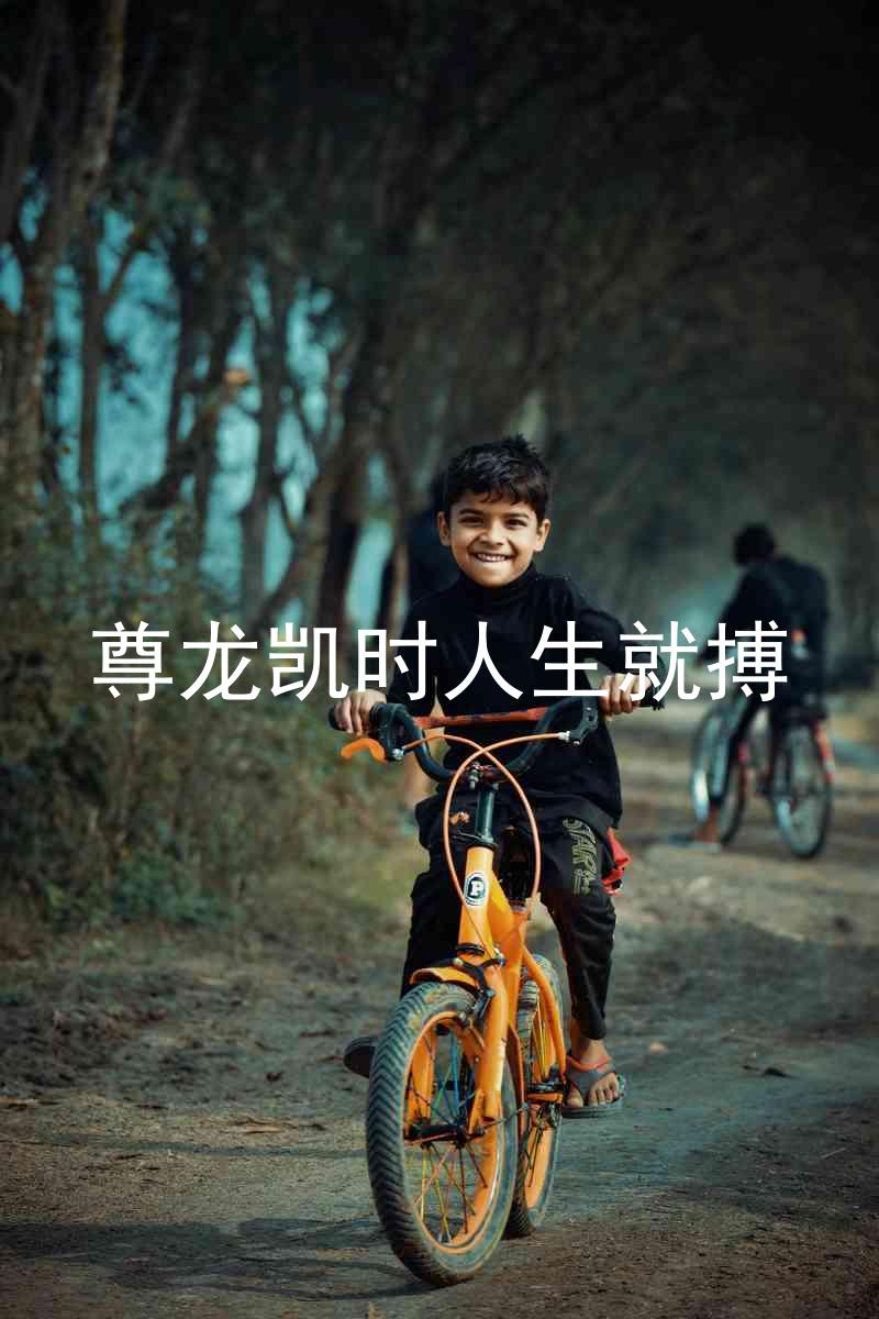 尊龙凯时人生就搏