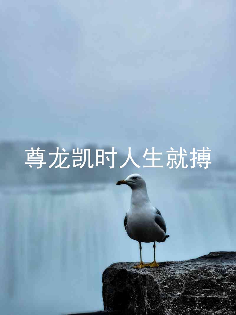 尊龙凯时人生就搏