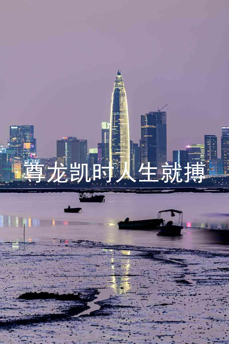 尊龙凯时人生就搏