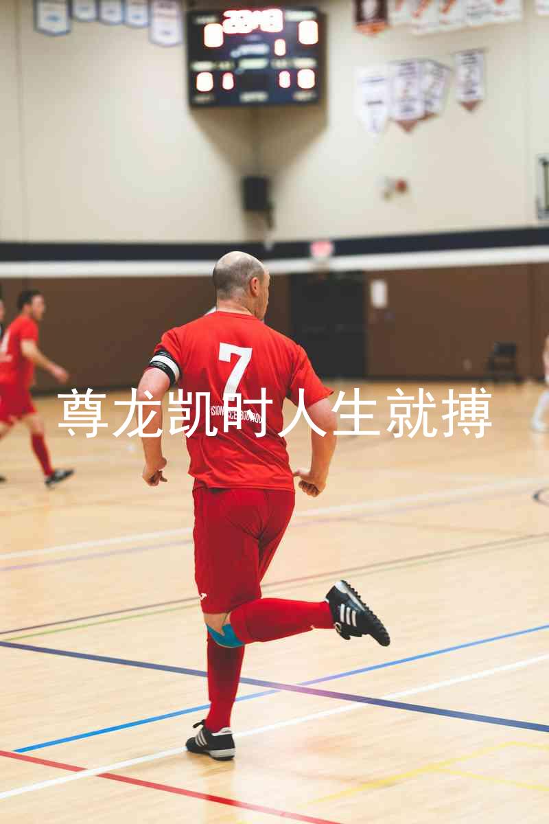 尊龙凯时人生就搏