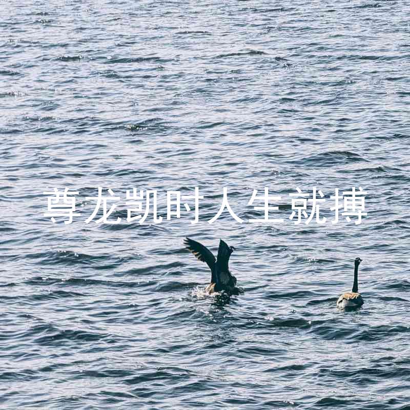 尊龙凯时人生就搏