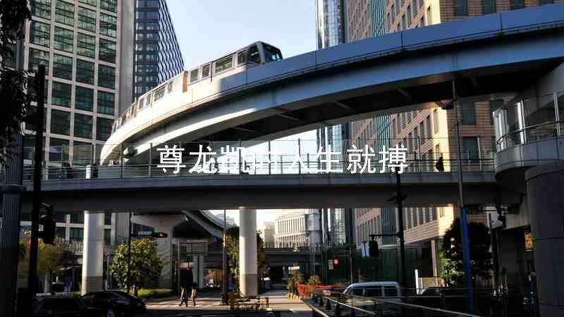 尊龙凯时人生就搏
