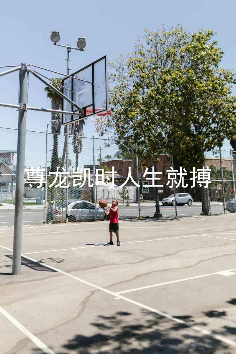 尊龙凯时人生就搏